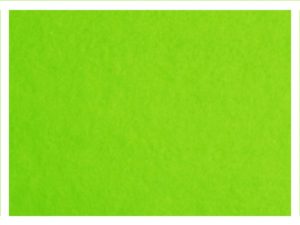 Bastelfilz Filzplatte Filz 20x30cm, Stärke 0,9mm lindgrün (0015)