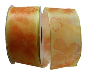 Geschenkband Schleifenband transparent 3 m 40 mm orange (0006)