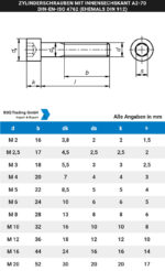 Zylinderschrauben mit Innensechskant M5,0 x 60mm DIN EN ISO 4762 10 Stück (1043)