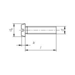 Zylinderschrauben Messing Gewindeschrauben DIN84 M3x10mm 10 Stück (0059)