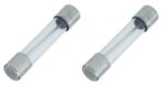 Feinsicherung Glassicherung 10 A Flink US-Sicherung 6 x 30 mm 2 Stück (0121)