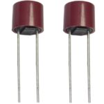 Feinsicherung Kleinsicherung Sicherung TR5 träge 250V 10A 2 Stück (0094)